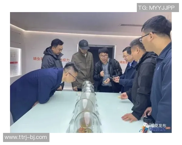 杭州乒乓球队配合变革引发热议探讨团队协作与技术创新的结合