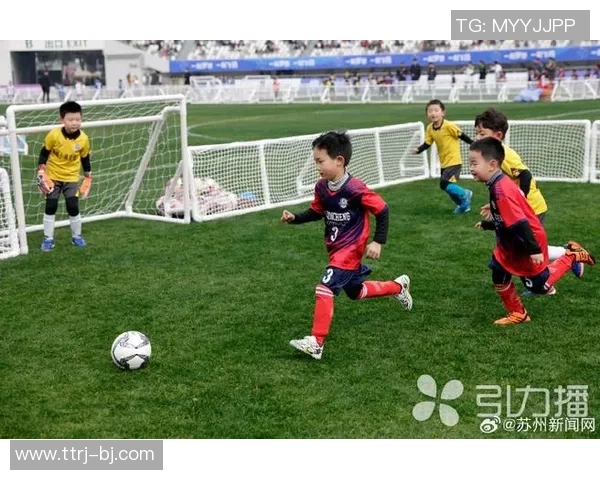 足球明星的猫狗联手踢足球展现萌趣竞技风采